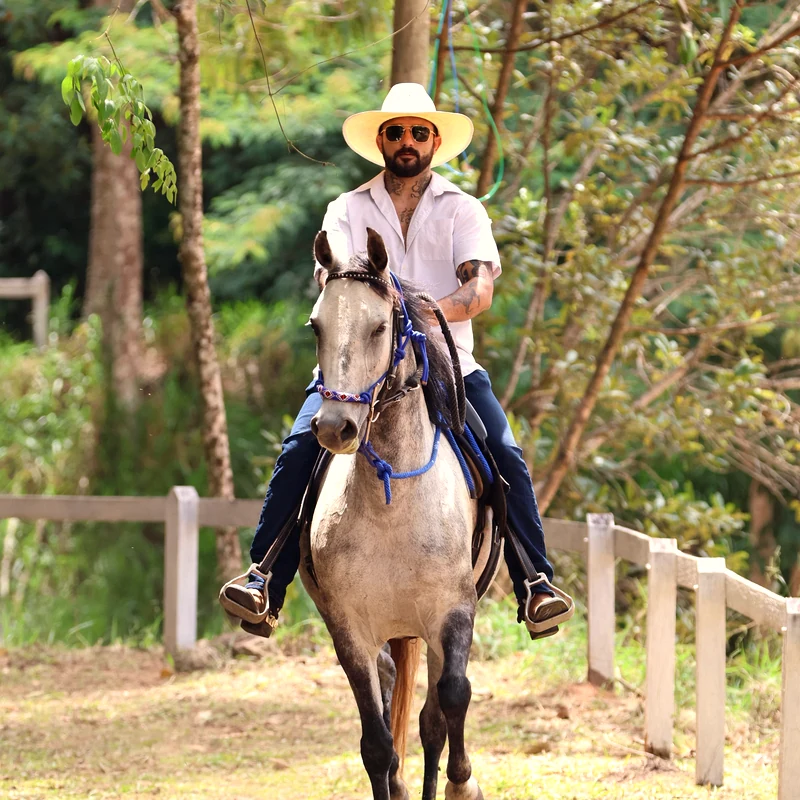 Cavaleiro em campo, montaria método Instinto Equestre