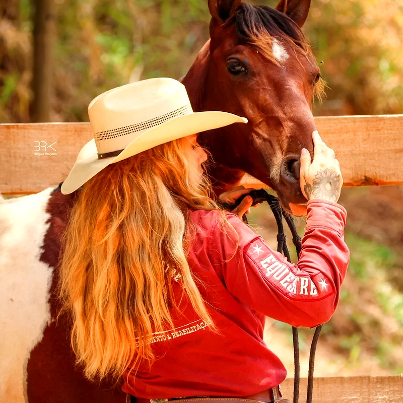 Conexão entre humano e cavalo no trabalho de chão