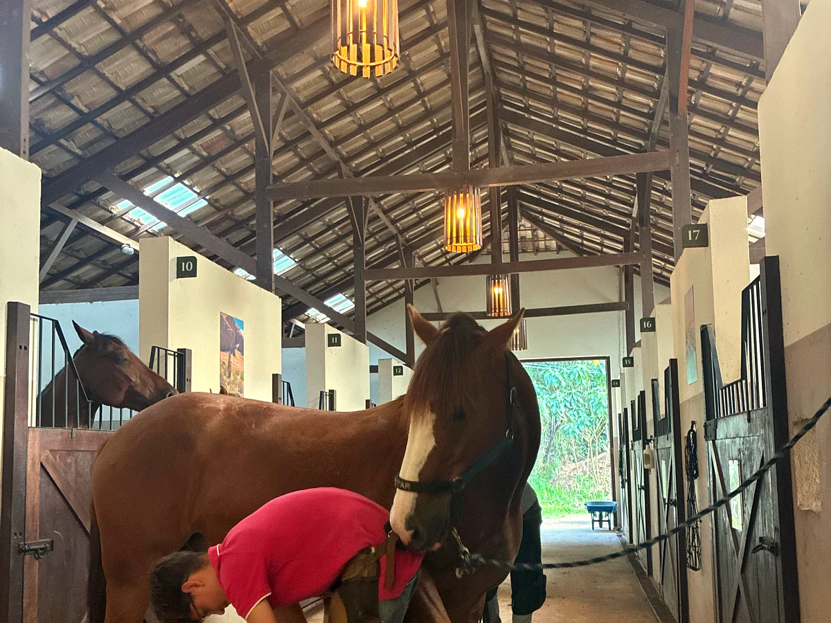 Instalações de hospedagem e treinamento de cavalos no CT Instinto Equestre, Itaipava