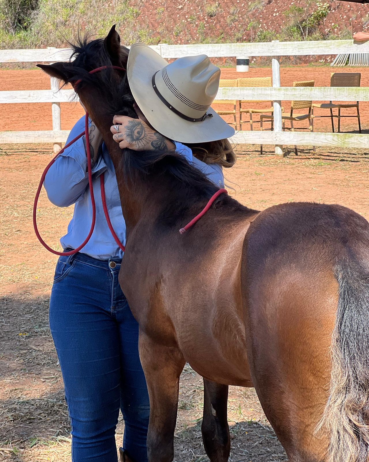 Aluna em sessão de trabalho com cavalo, CT Instinto Equestre