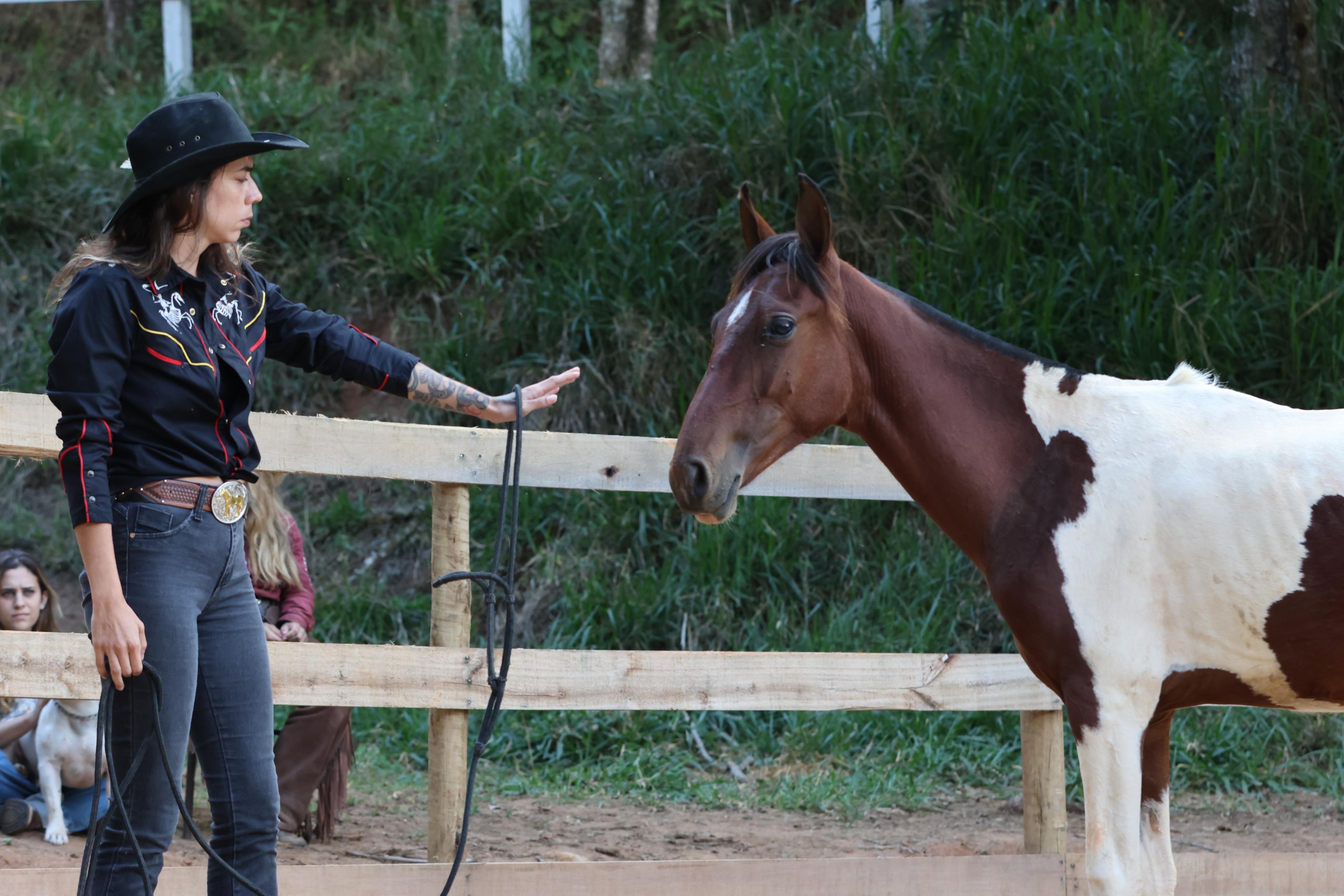 Doma de cavalos, CT Instinto Equestre