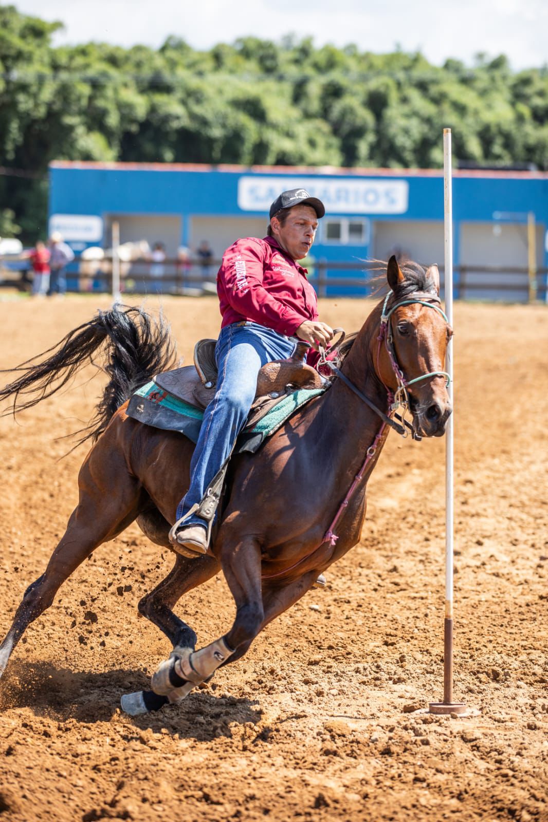 Treinamento de alta performance em Três Tambores e Seis Balizas, CT Instinto Equestre